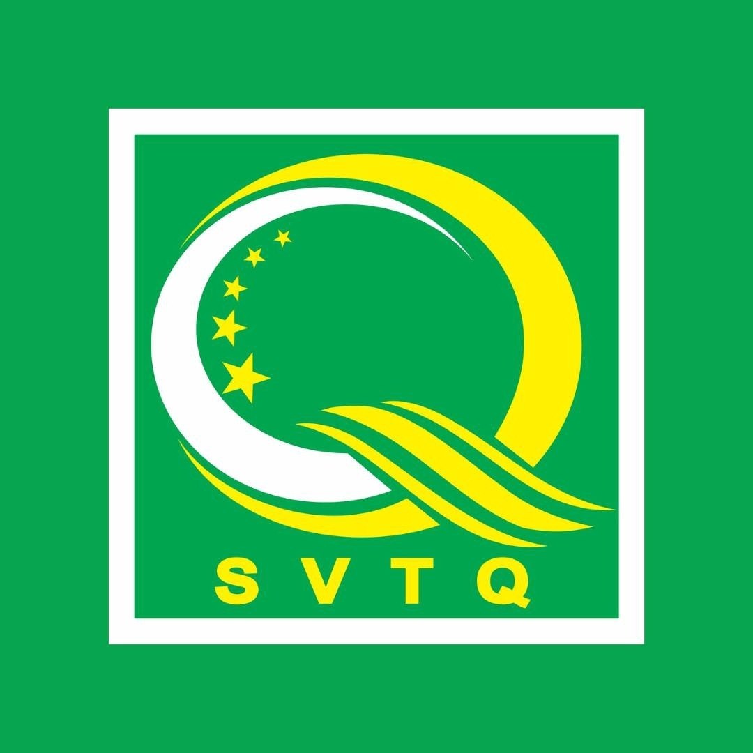 Sao Viet Plywood Factory Vietnam
